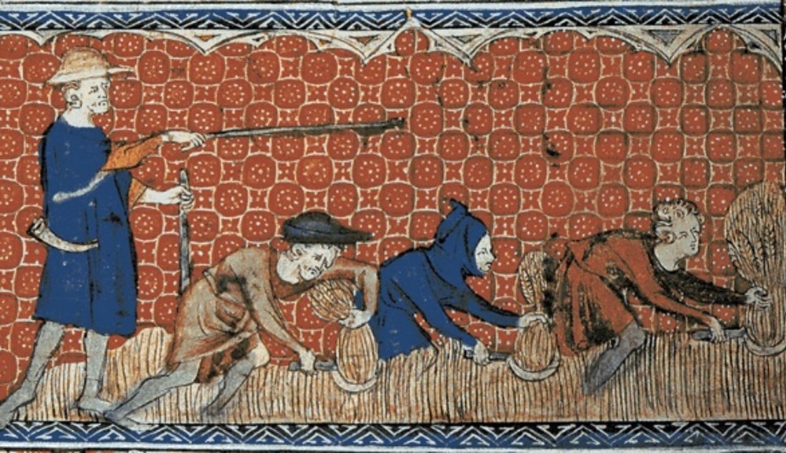 Средневековые европейские крепостные, собирающие зерно, ок. 1310
