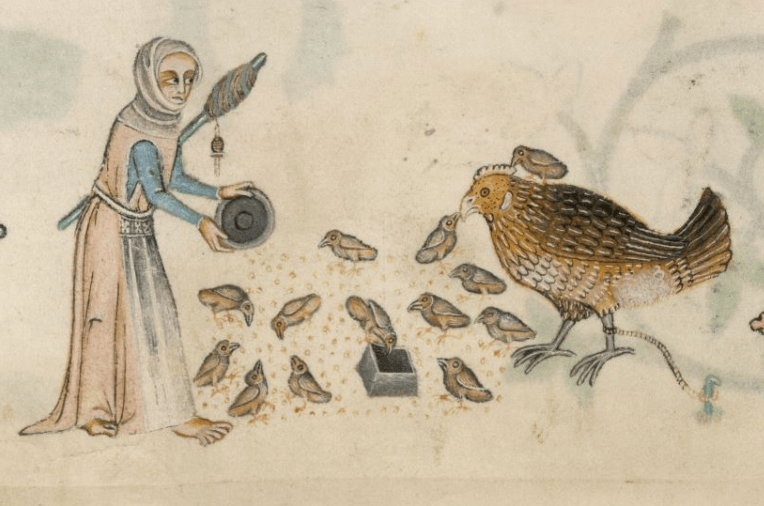 еще раз Псалтирь Латтрелла, л. 166v, изображающая женщину, кормящую птиц с прялкой и веретеном в руке. Кажется, ее небезосновательно беспокоит тот фак