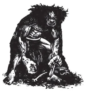 Monster Manual, 1977 TSR Inc.